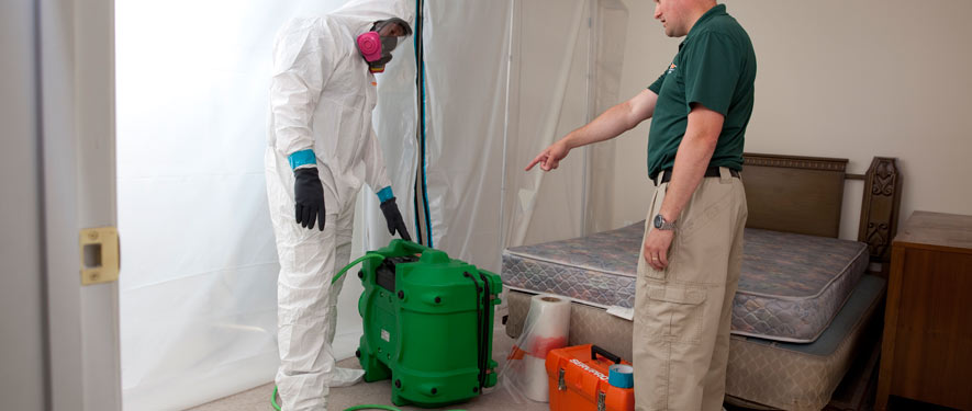 New Port Richey, FL mold removal process